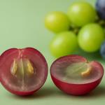 Unglaublich: Die meisten Polyphenole sind in Traubenkernen - warum ist das wichtig?